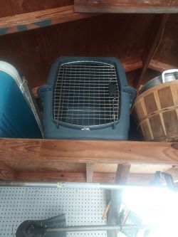 Large animal cage for transportation
