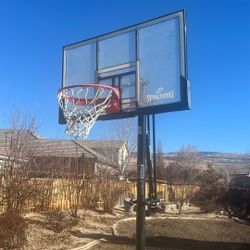 Adjustable Basketball Hoop
