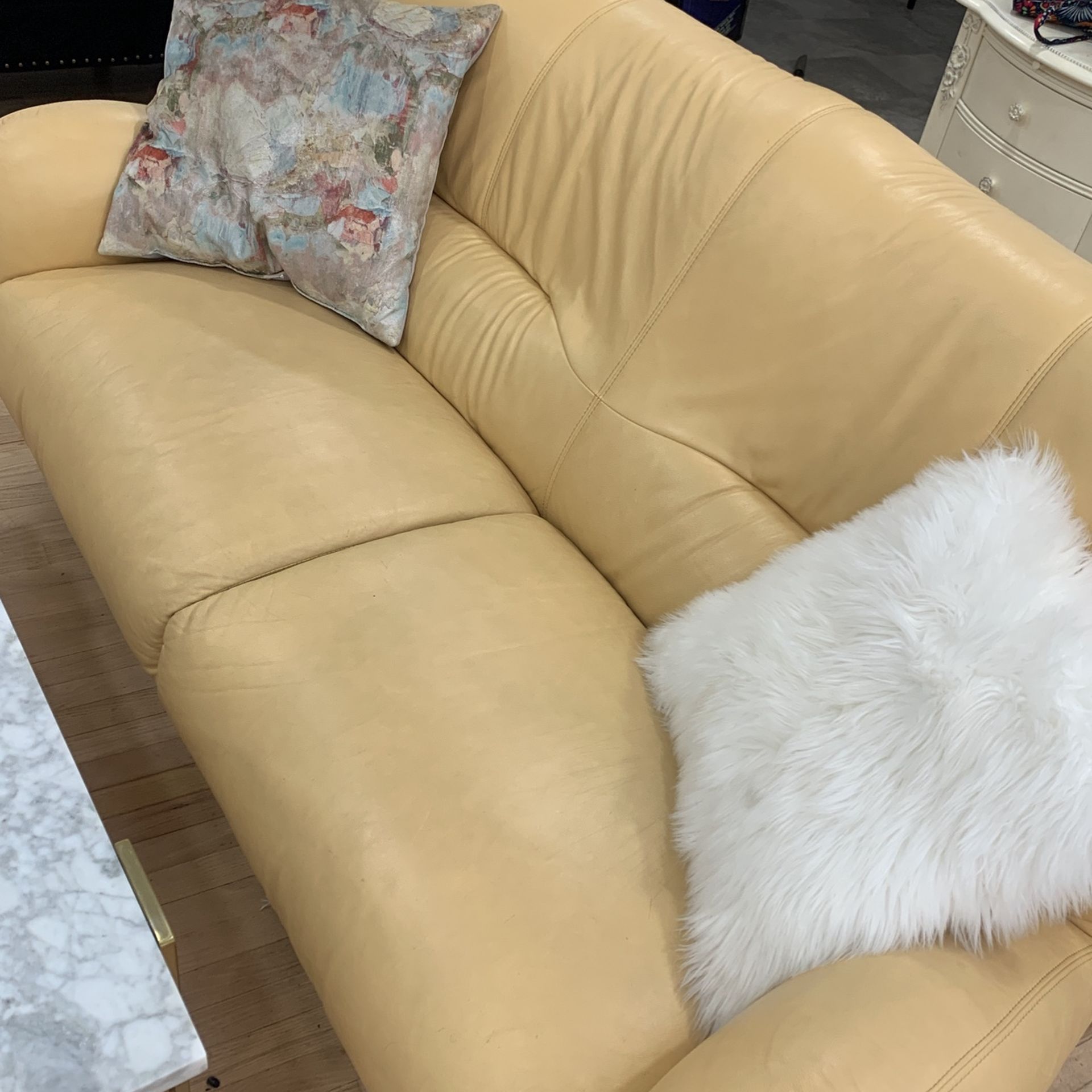Leather Couch