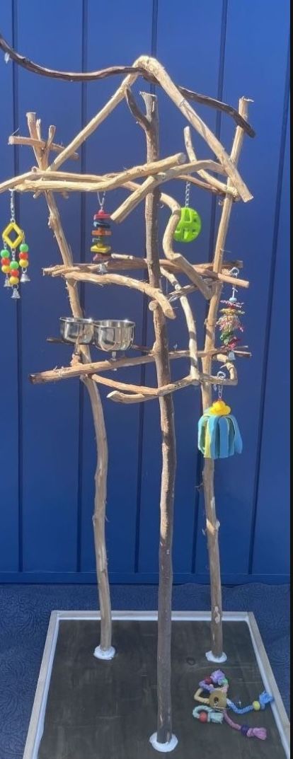 Small Bird Perch Tree- Not Too Big / Not Too Tall … Cockatiel Conure And Ringneck Fun !! 