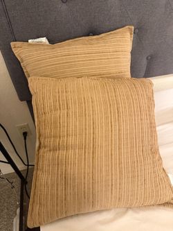 2 cushions