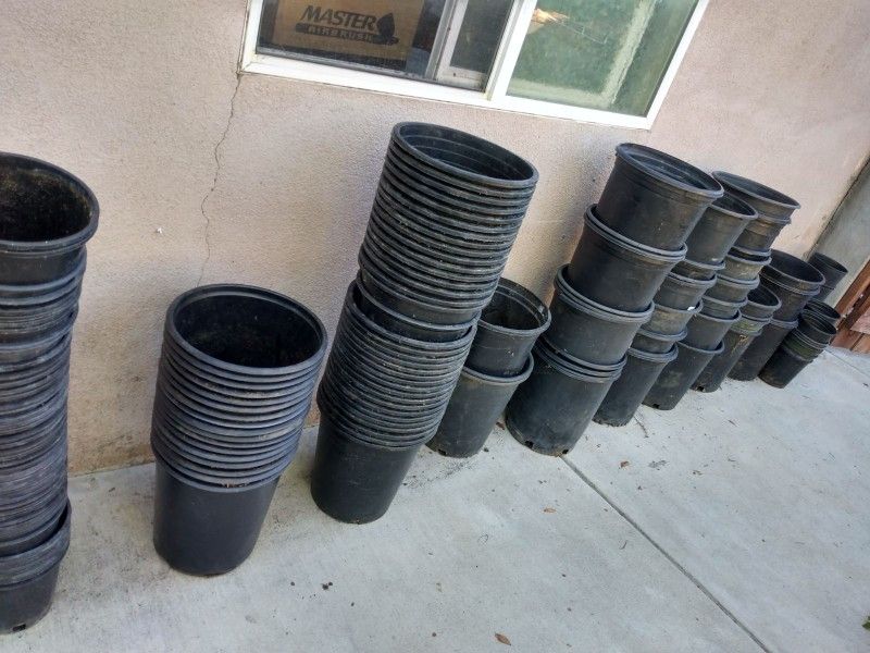 1 Gallon & 15 Gallon Nursery Pots