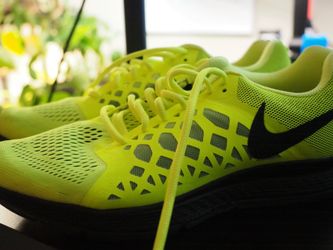 Nike Pegasus 31 (Mens 10)