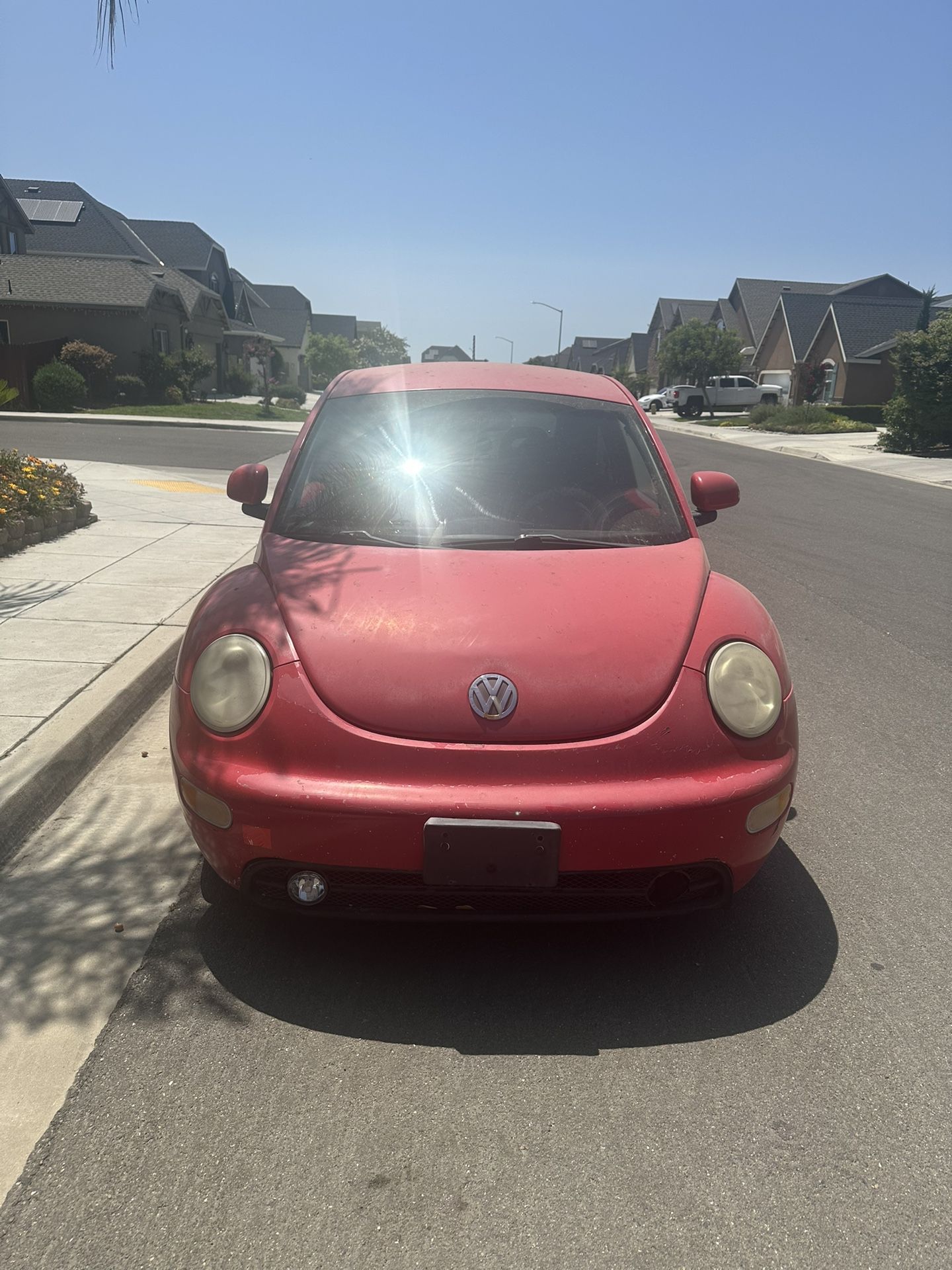 Beetle  For Sale