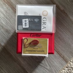 Cartier Moissanite Watch Tested!