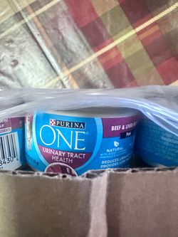Purina ONE Urinary Tract Health Wet Cat Food