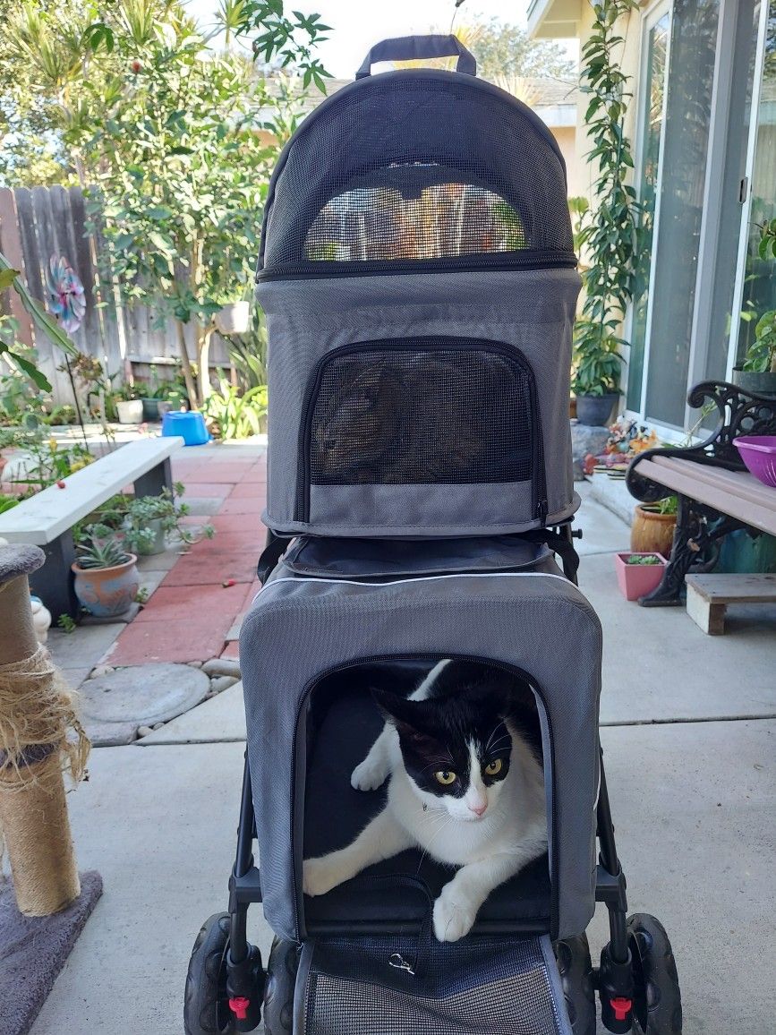 Dog and Cat Stroller