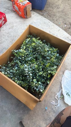 Greenery