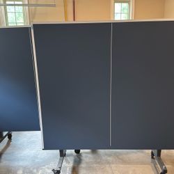 Ping Pong Table 