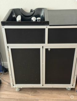 Salon station and portable shampoo sink