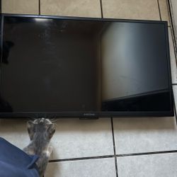 32 Inch Tv Insignia For 15$ Come With Controller