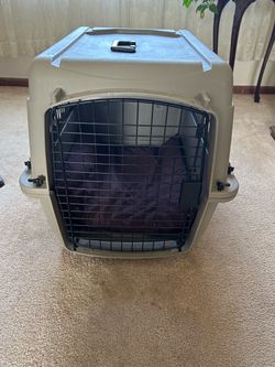 Large Hard-Sided Pet Travel Crate