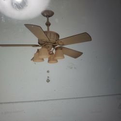 Beautiful Ceiling Fan