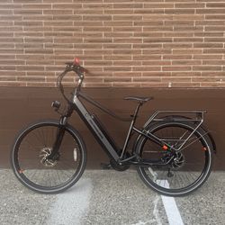 RadCity 5 Plus E-Bike – Excellent Condition, Under 100 Miles