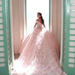  Beautiful And Delicate Quinceañera Dress