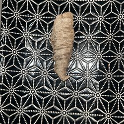 Crazy concretion