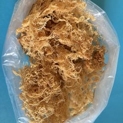Gold Sea moss