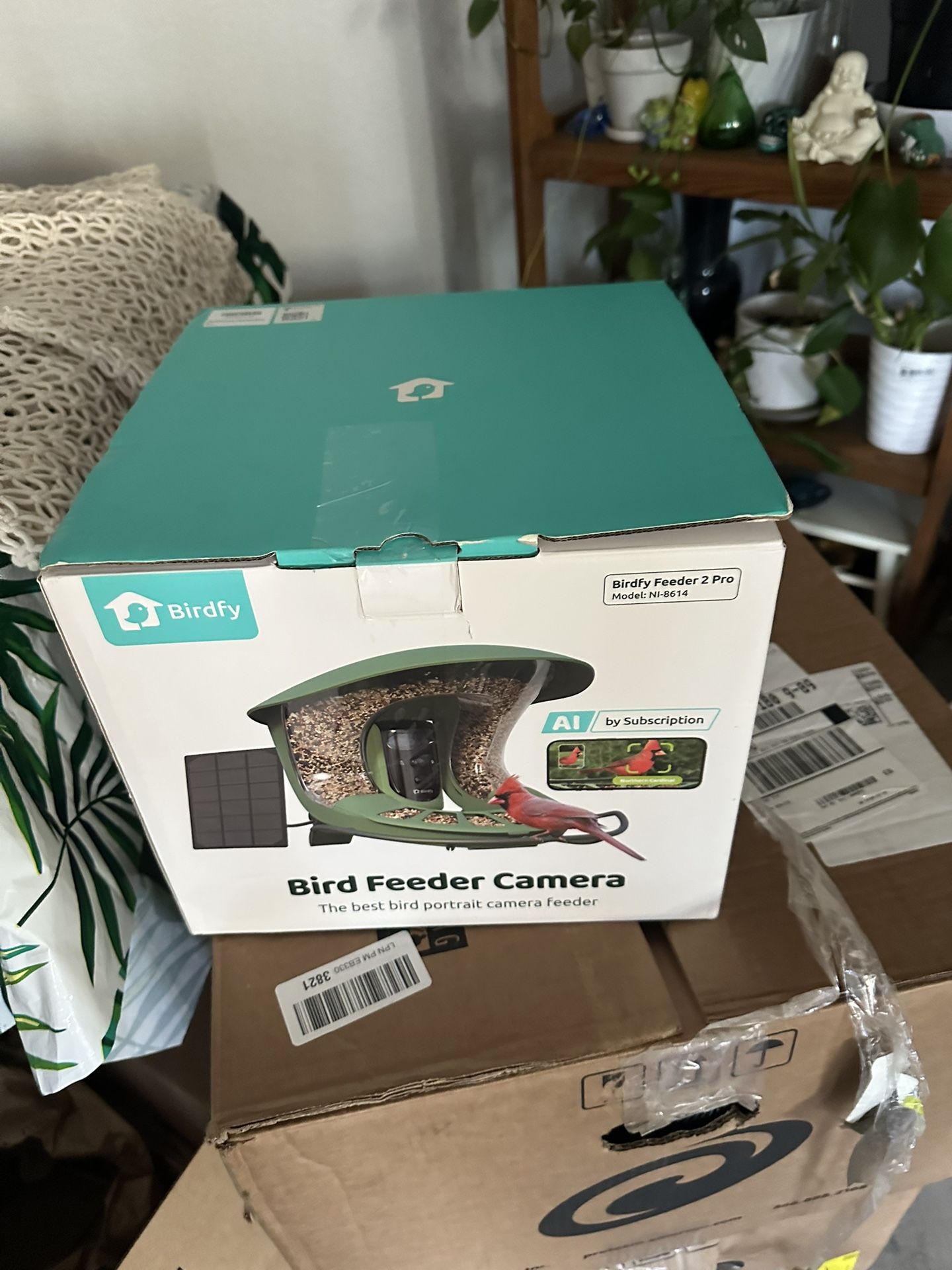 Bird Feeder 