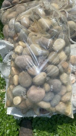 Amazon Multicolor Pebbles - 40 Lbs