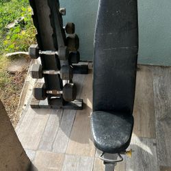 Bench + Dumbells 