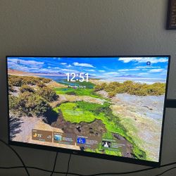 LG Monitors 