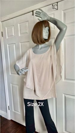 Blush Pink Chiffon Overlay Top Size 2X