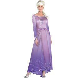Party City Elsa Arendelle Costume for Women, Frozen 2, Medium, Includes Dress