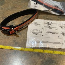 Dog collar with padded inside