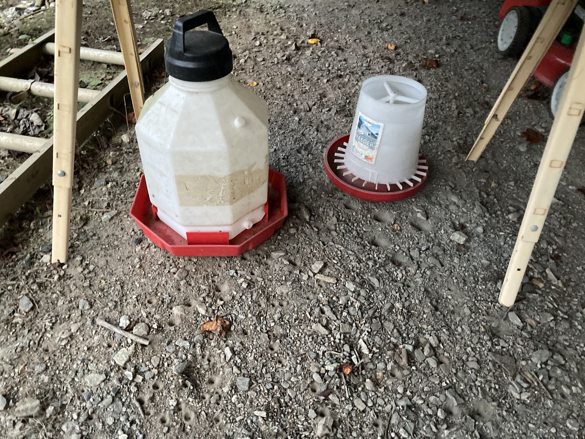 Poultry feeder and water