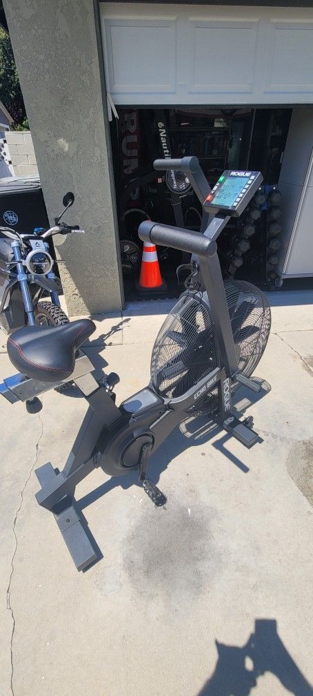 Rogue ECHO Bike