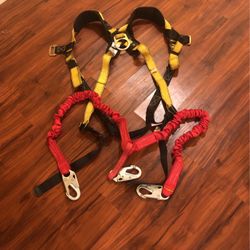   safety  harness