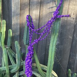 Halter With Lead Rope For horse New