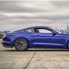 Mustangchiv 