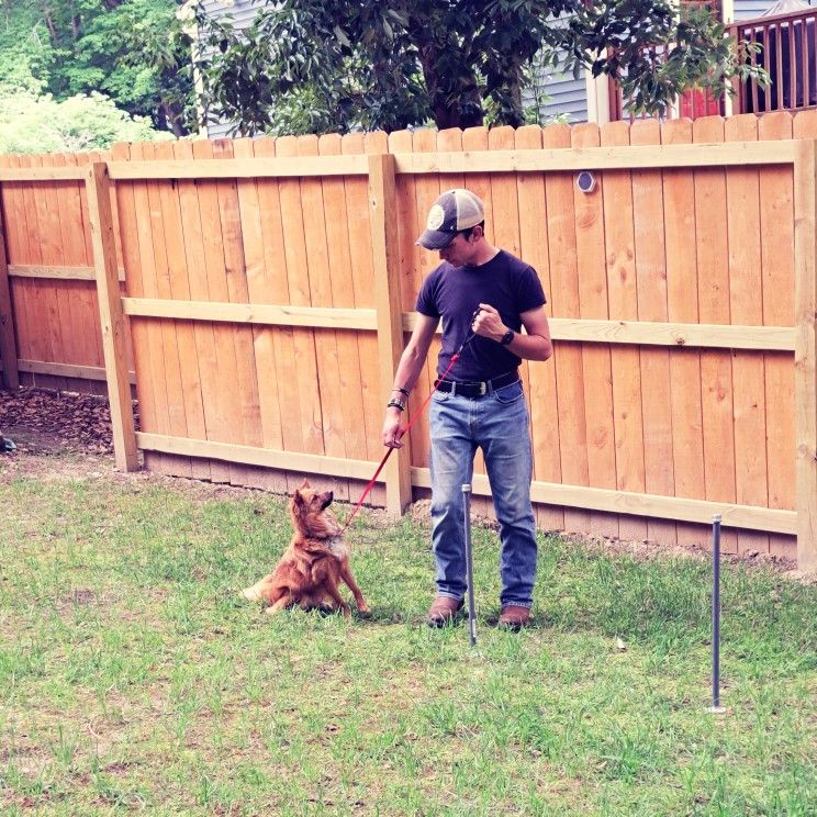Dog Agility Equipment