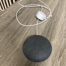 Google Home/Nest Mini READ DESCRIPTION