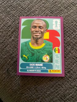 Sadie mane panini sticker (purple border)