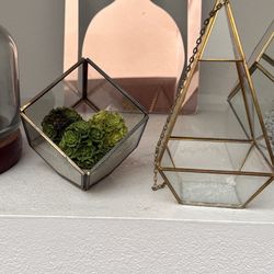 Glass Terrarium Shelf Decor 