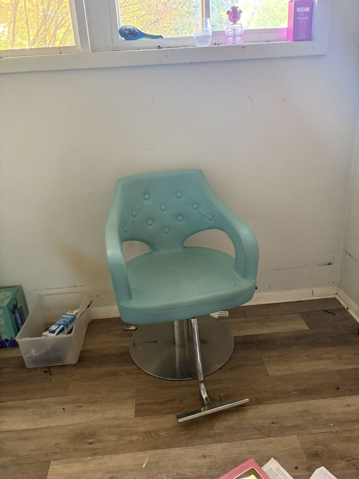 Salon Chair