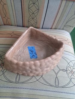 Reptile dish