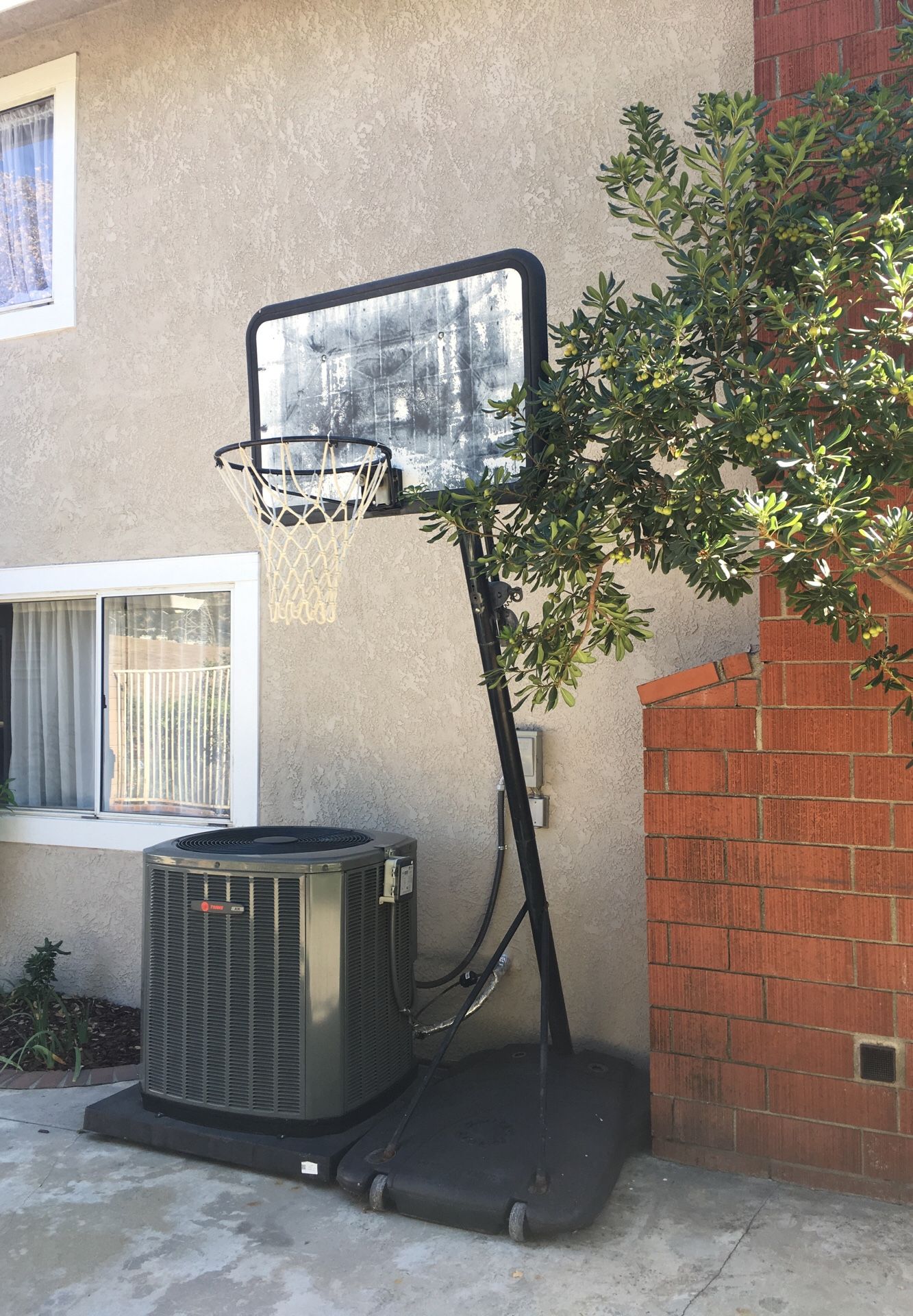 Free basketball hoop