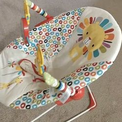Baby Bouncer Seat