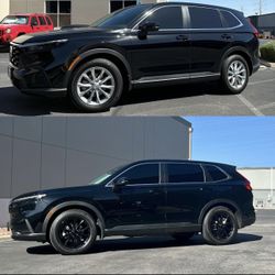 CALIPER PAINTING & RIM BLACK OUT 