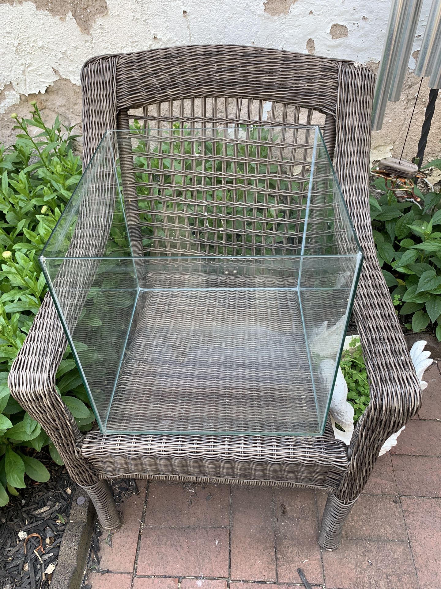 Terrarium Glass Cube Seamless 15x15x15 for Reptiles or plants
