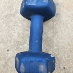 15lb Dumbbell