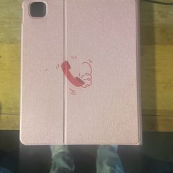 iPad Case
