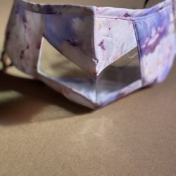 Butterfly Window Face mask 