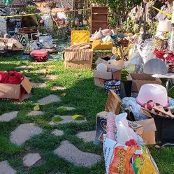 Lots Of Stuff, Front & backyard!