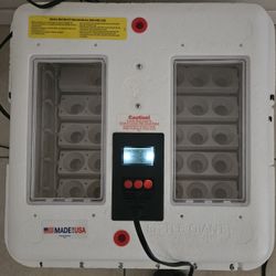 Little Giant Incubator 