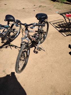 Bike 24"