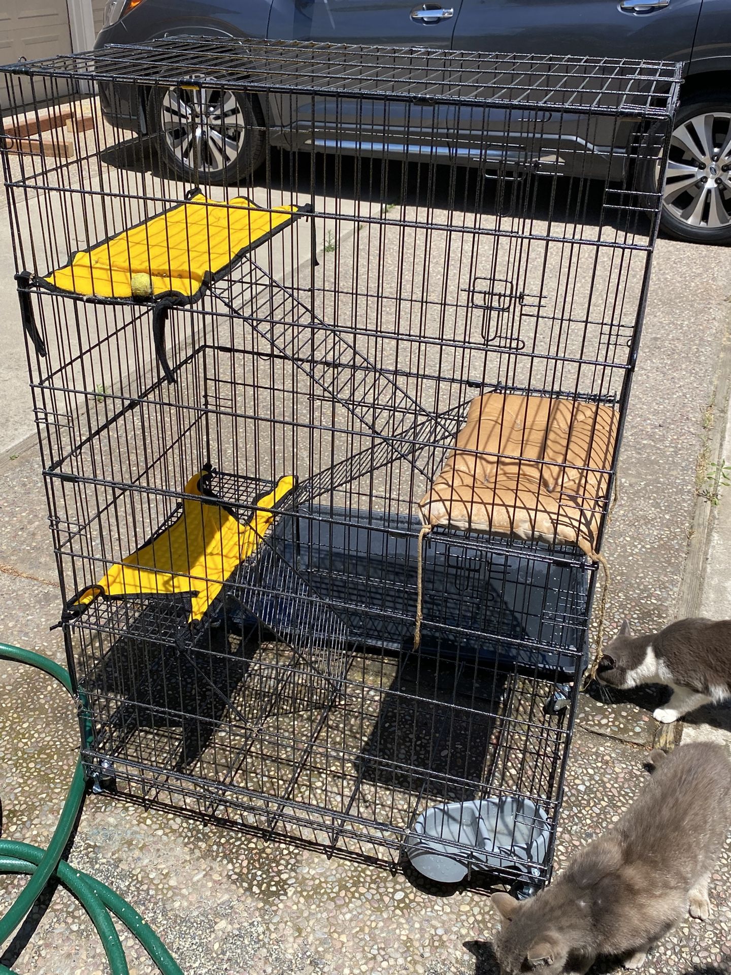XL Cat/pet Condo Crate
